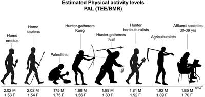 Non-exercise activity thermogenesis in the workplace: The office is on fire